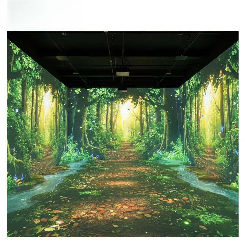 OEM&ODM Immersive Projector La - đánh giá và giá Gymnastics Beam Floor